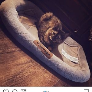 Meet your Posher, Brody